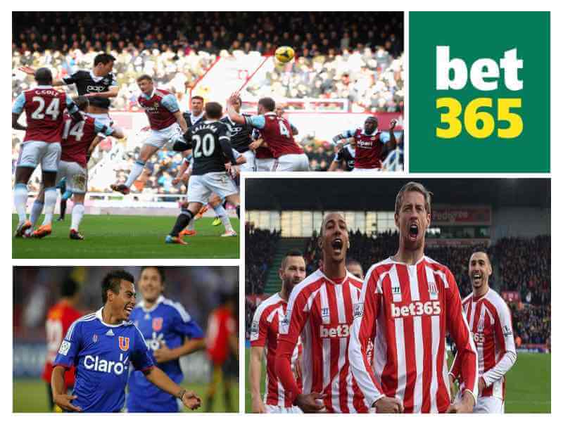 bet 36t app