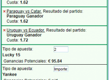 ¿Que es una apuesta Lucky 15?